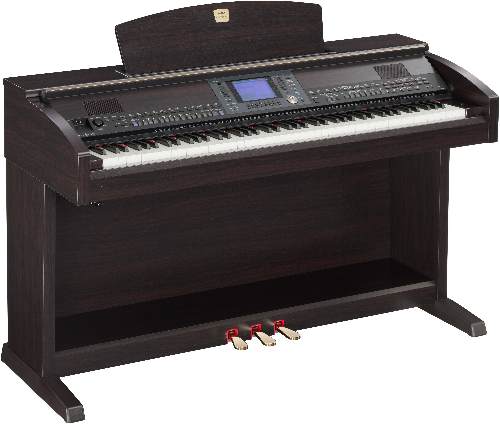 CVP503 Rosewood