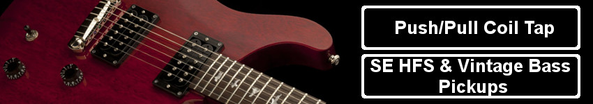 PRS SE Custom 24 Mahogany Body and Bird Inlays