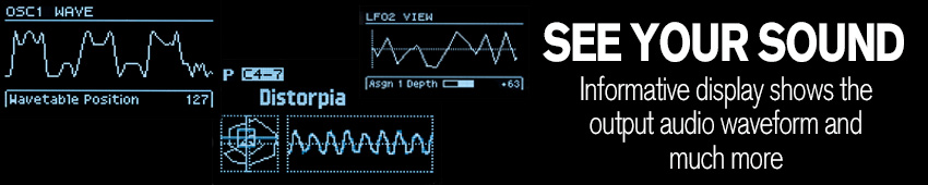 Roland GAIA 2 display shows audio waveform and much more