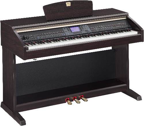 CVP501rosewood
