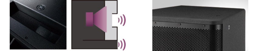 DXS Class D Amps & Transducer