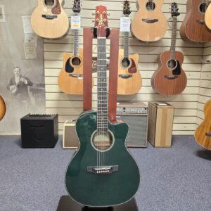Takamine LTD2025